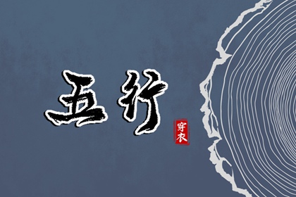 易安居紫薇排盘,排命盘,紫薇星斗数命盘,排紫微斗数命盘